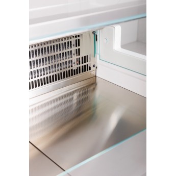 Vitrina expositora VIGO90N300VVDN